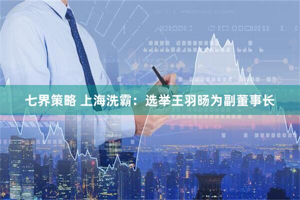 七界策略 上海洗霸：选举王羽旸为副董事长