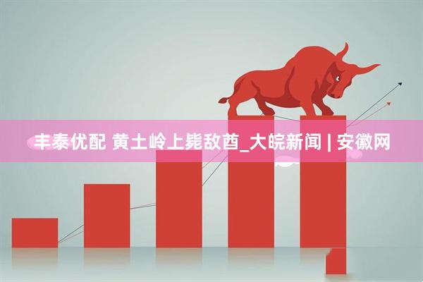 丰泰优配 黄土岭上毙敌酋_大皖新闻 | 安徽网