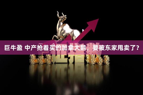 巨牛盈 中产抢着买的加拿大鹅，要被东家甩卖了？