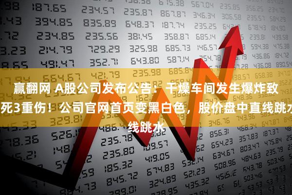 赢翻网 A股公司发布公告：干燥车间发生爆炸致1死3重伤！公司官网首页变黑白色，股价盘中直线跳水
