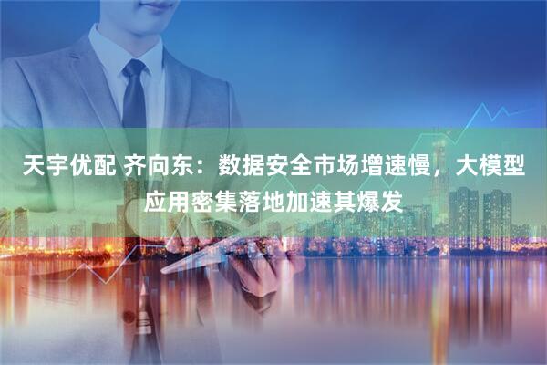 天宇优配 齐向东：数据安全市场增速慢，大模型应用密集落地加速其爆发