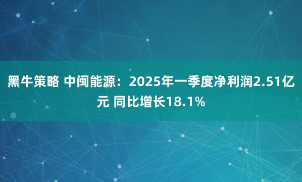 黑牛策略 中闽能源：2025年一季度净利润2.51亿元 同比增长18.1%