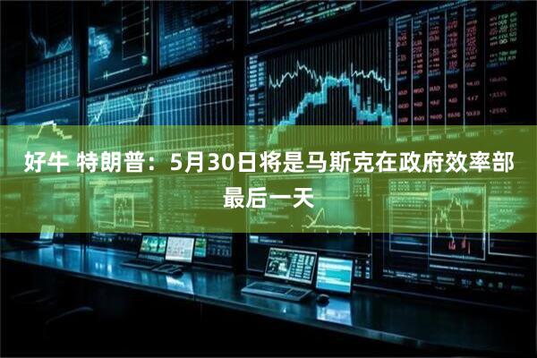 好牛 特朗普：5月30日将是马斯克在政府效率部最后一天