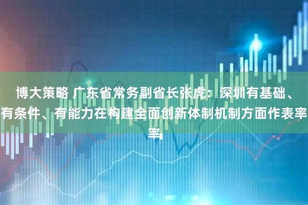 博大策略 广东省常务副省长张虎：深圳有基础、有条件、有能力在构建全面创新体制机制方面作表率