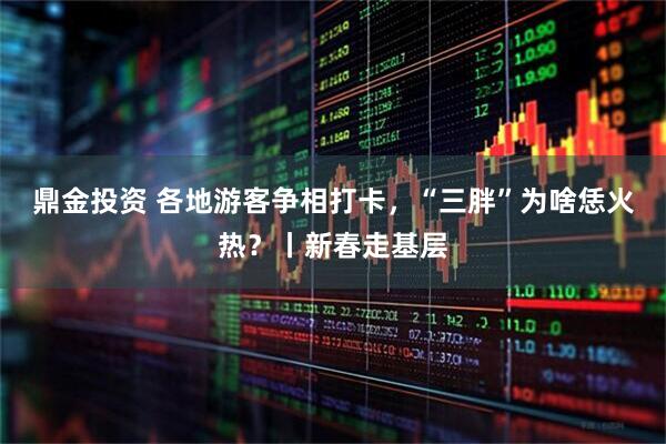 鼎金投资 各地游客争相打卡，“三胖”为啥恁火热？丨新春走基层